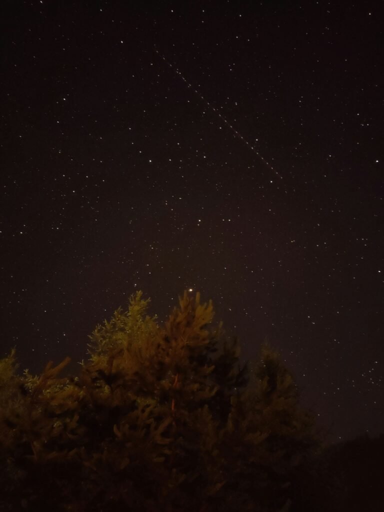 Na obrázku je zachycena tmavá noční obloha plná hvězd s viditelnou stopou po průletu satelitu Starlink, který byl vypuštěn společností SpaceX. V popředí jsou siluety stromů, které dotvářejí klidnou atmosféru přírodního prostředí.